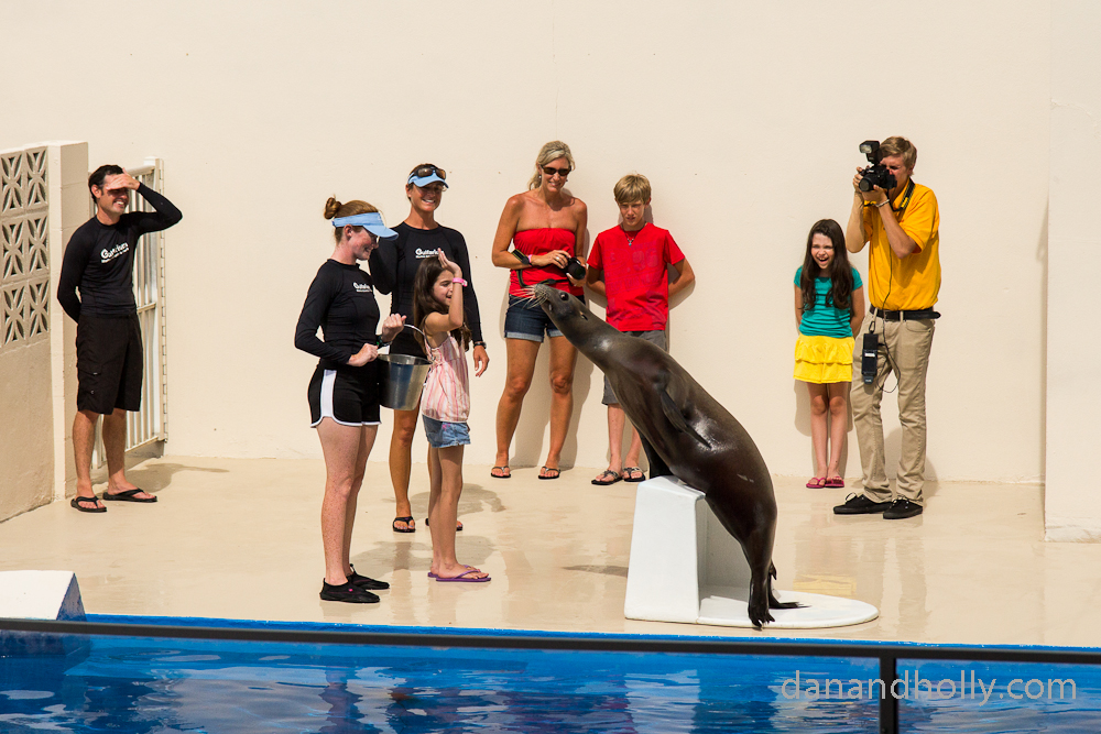 Sea lion encounter